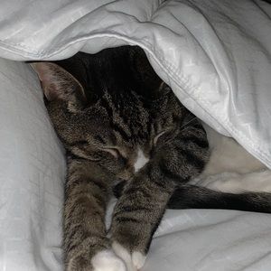 Meet your Posher, Samantha